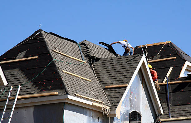 Best Roof Maintenance Services  in Beach, ND