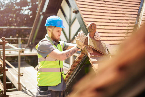 Best Roof Leak Repair  in Beach, ND