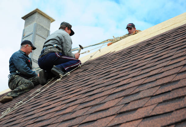 Best Commercial Roofing Services  in Beach, ND